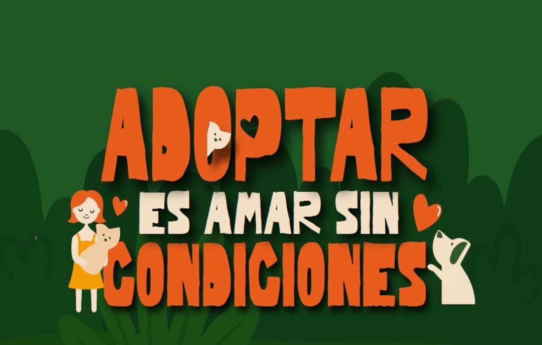 Mañana sábado  gran jornada de adopciones de animales de compañía en el Centro Comercial Andino de Bogotá